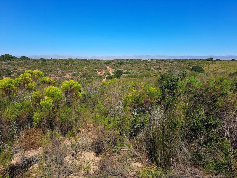 Farm For Sale in Stilbaai Rural, Stilbaai - Photo 3