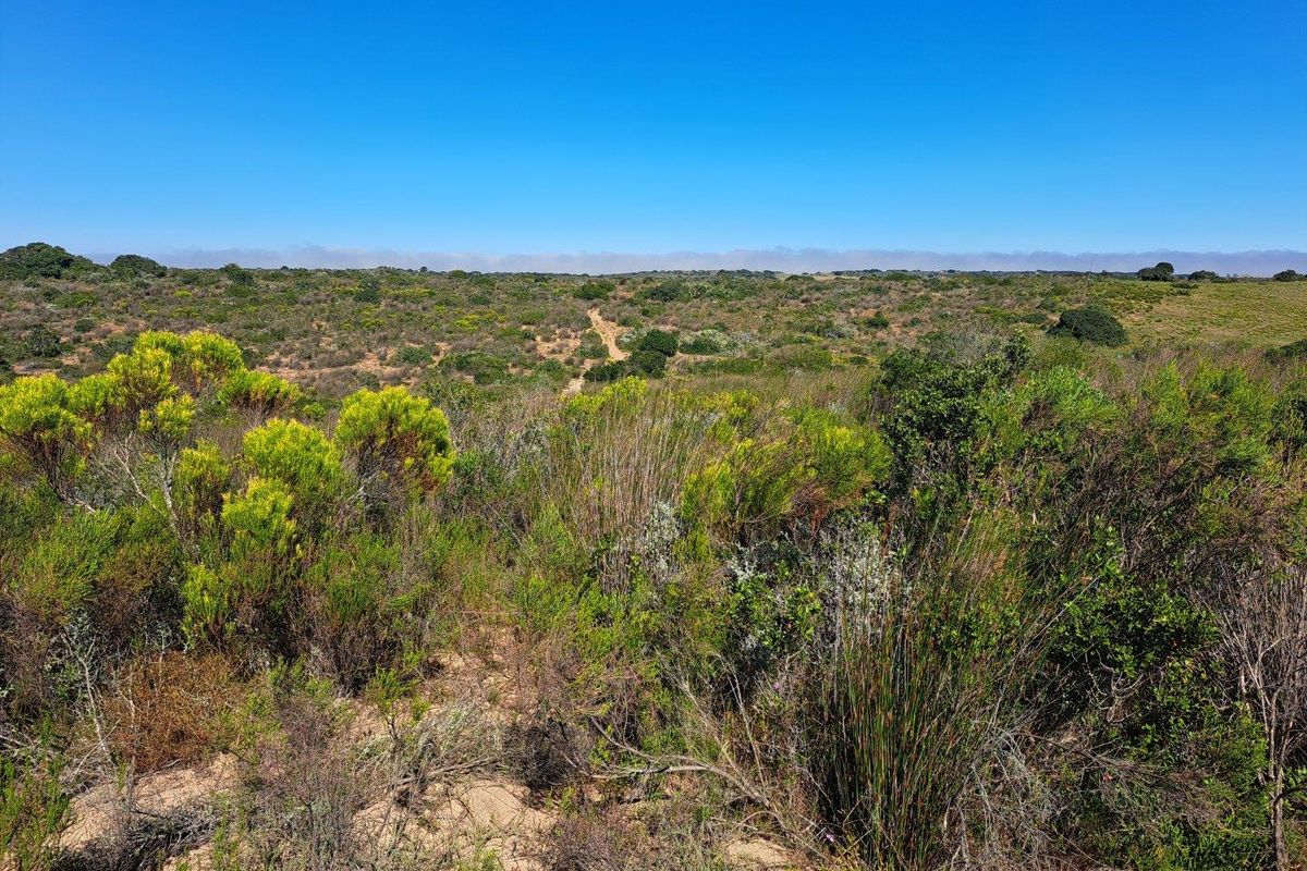 Farm For Sale in Stilbaai Rural, Stilbaai - Photo 3