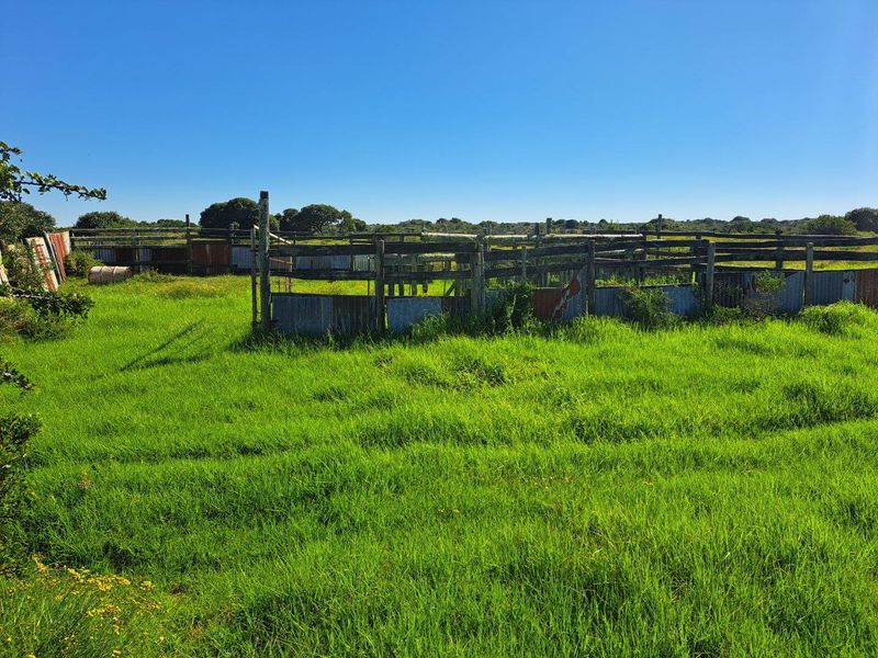 Farm For Sale in Stilbaai Rural, Stilbaai - Photo 5