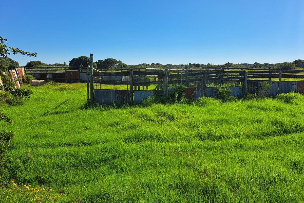 Farm For Sale in Stilbaai Rural, Stilbaai - Photo 5