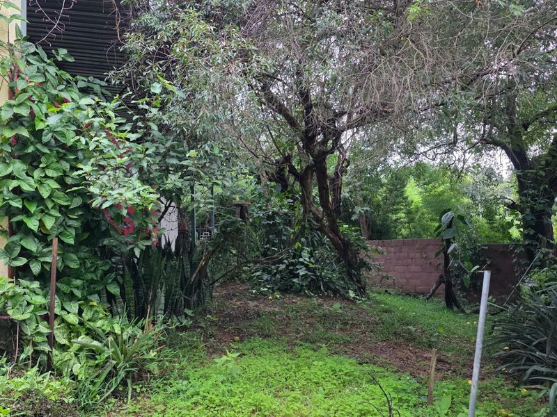 Affordable Renovation Project in Numbipark - Great Value - Photo 9