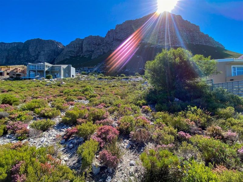 Where Mountain Meets Ocean - Prime Stand in Betty’s Bay! - Photo 5