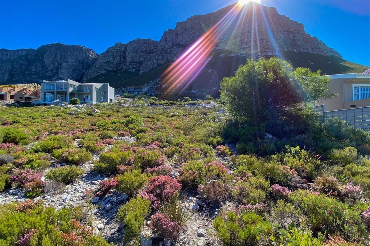 Where Mountain Meets Ocean - Prime Stand in Betty’s Bay! - Photo 5