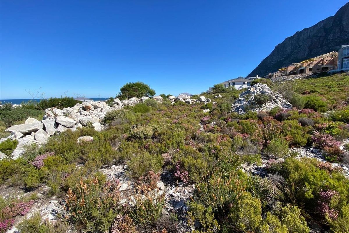 Where Mountain Meets Ocean - Prime Stand in Betty’s Bay! - Photo 4