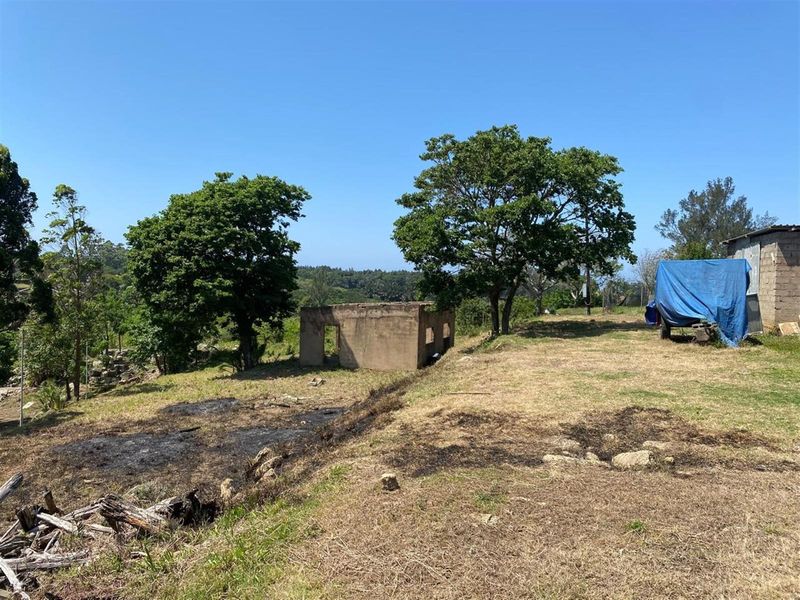 A Rare Opportunity for the Passionate Horticulturist, Agriculturist. - Photo 10