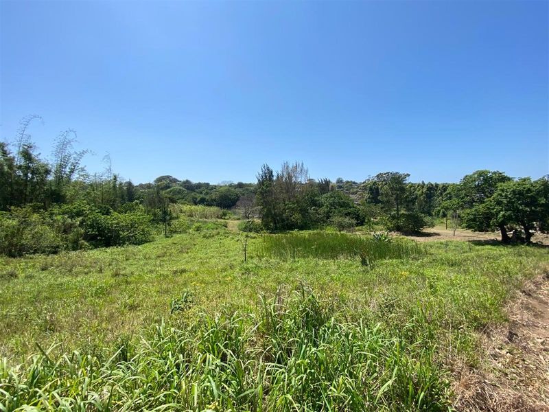 A Rare Opportunity for the Passionate Horticulturist, Agriculturist. - Photo 8