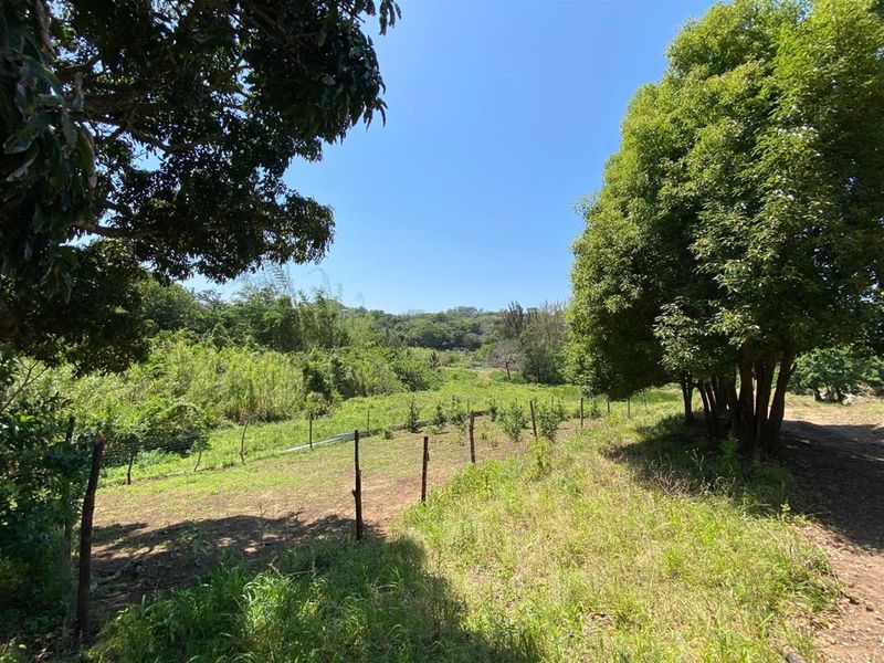 A Rare Opportunity for the Passionate Horticulturist, Agriculturist. - Photo 2