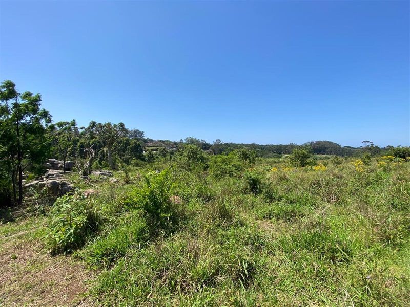 A Rare Opportunity for the Passionate Horticulturist, Agriculturist. - Photo 7