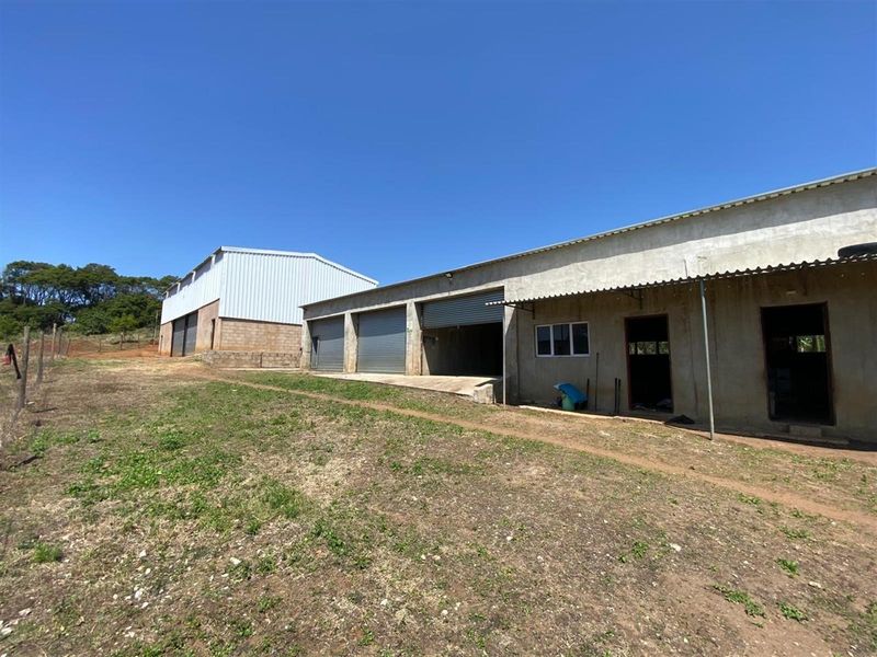 A Rare Opportunity for the Passionate Horticulturist, Agriculturist. - Photo 9