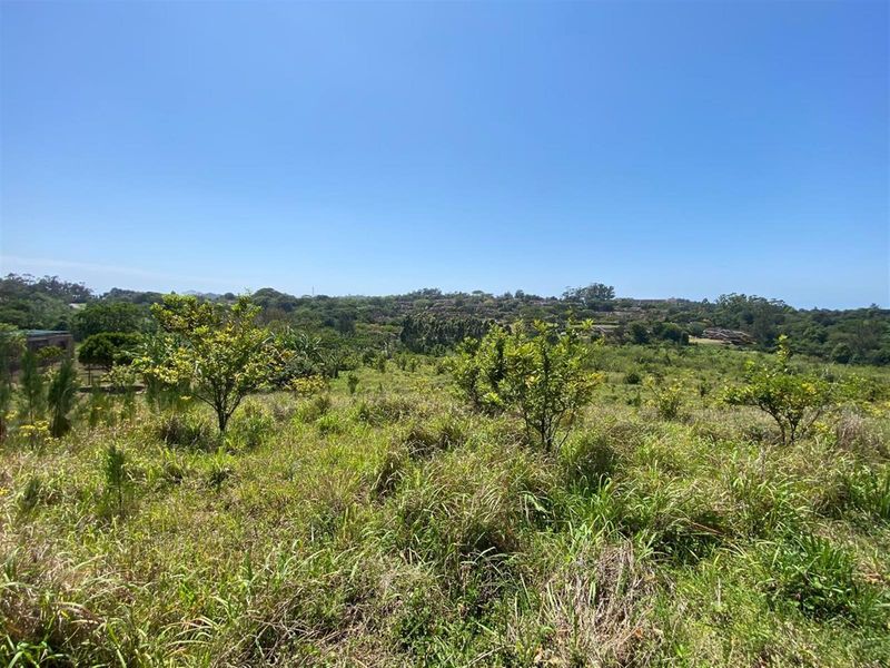 A Rare Opportunity for the Passionate Horticulturist, Agriculturist. - Photo 6