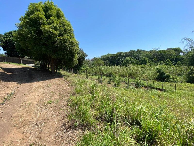 A Rare Opportunity for the Passionate Horticulturist, Agriculturist. - Photo 3