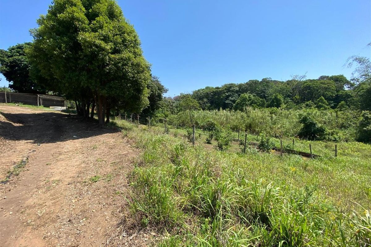A Rare Opportunity for the Passionate Horticulturist, Agriculturist. - Photo 3