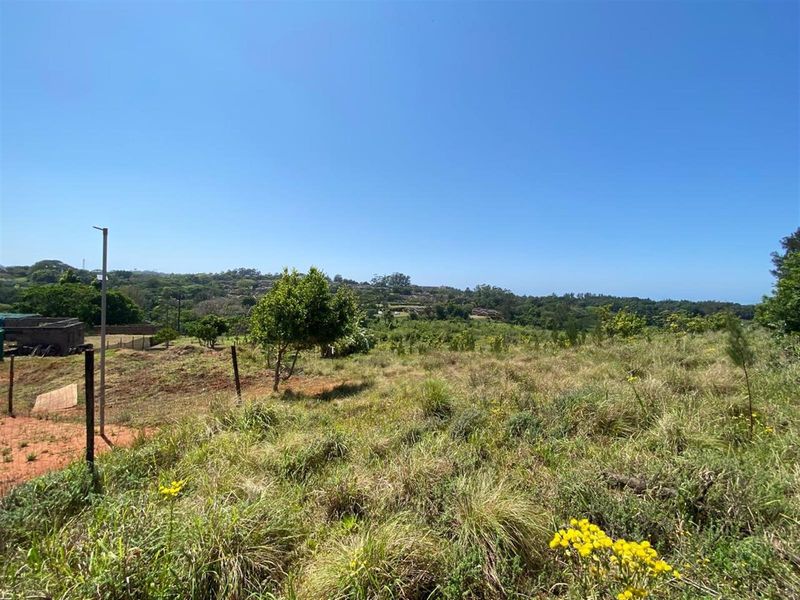 A Rare Opportunity for the Passionate Horticulturist, Agriculturist. - Photo 5