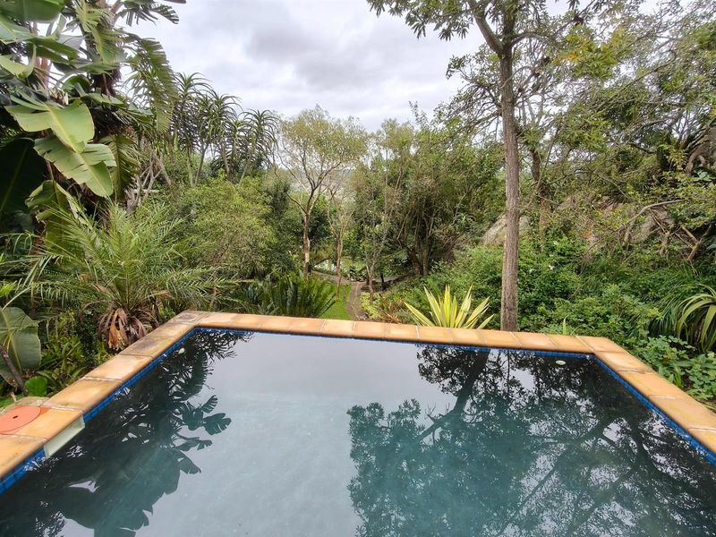 1.5 Hectare Smallholding Near Bateleur Estate, Nelspruit Rural - Photo 5