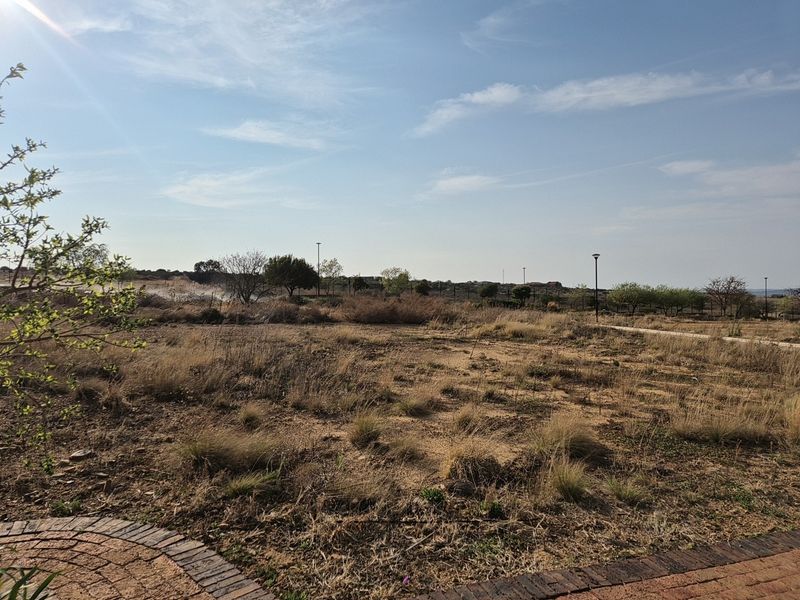 A view of a vacant residential plot featuring dry natural vegetation, a paved border, and established street lighting.