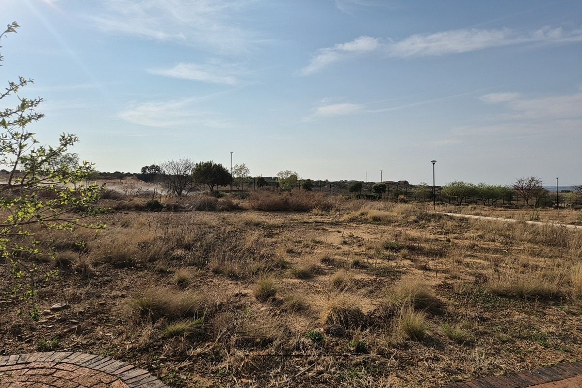 A view of a vacant residential plot featuring dry natural vegetation, a paved border, and established street lighting.