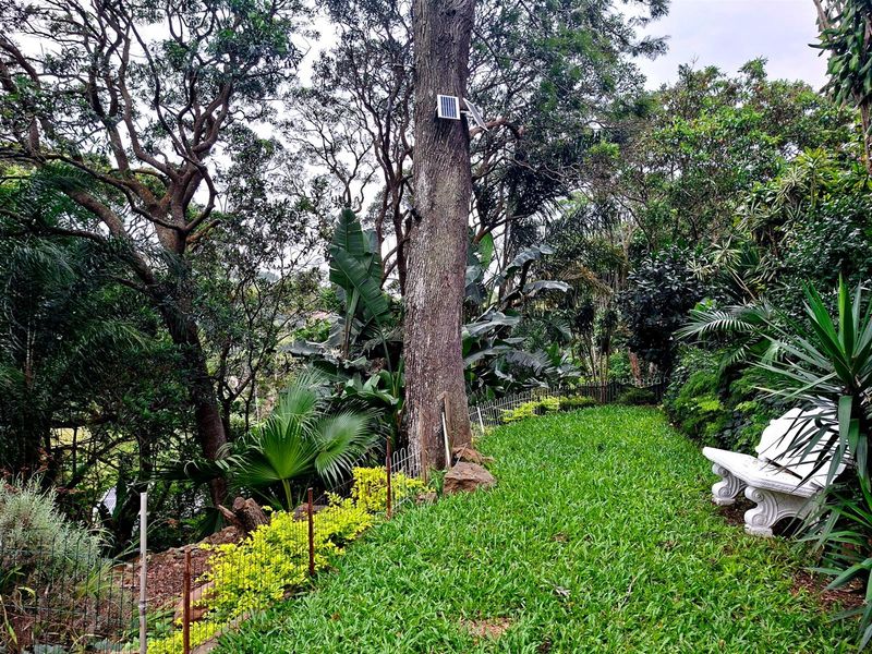 2 Bedroom cottage To Rent in Westville, Durban, KwaZulu Natal - Photo 2