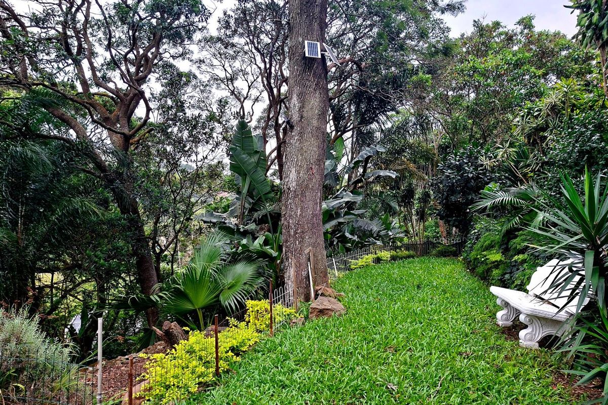 2 Bedroom cottage To Rent in Westville, Durban, KwaZulu Natal - Photo 2