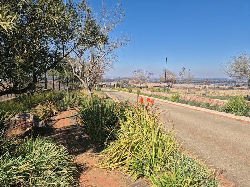 A view of a paved residential street with established landscaping, brick pathways, and perimeter fencing in a well-maintained estate setting.