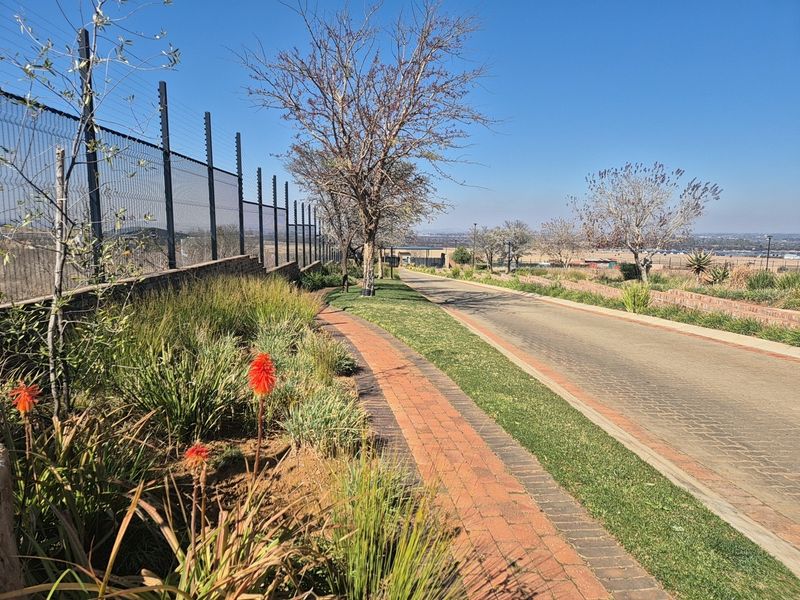 A well-maintained residential street view featuring paved driveway, landscaped verge, and secure perimeter electric fencing within a clear, sunny estate setting.