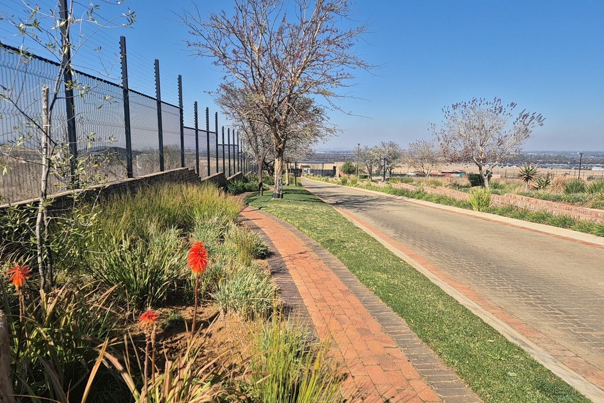 A well-maintained residential street view featuring paved driveway, landscaped verge, and secure perimeter electric fencing within a clear, sunny estate setting.