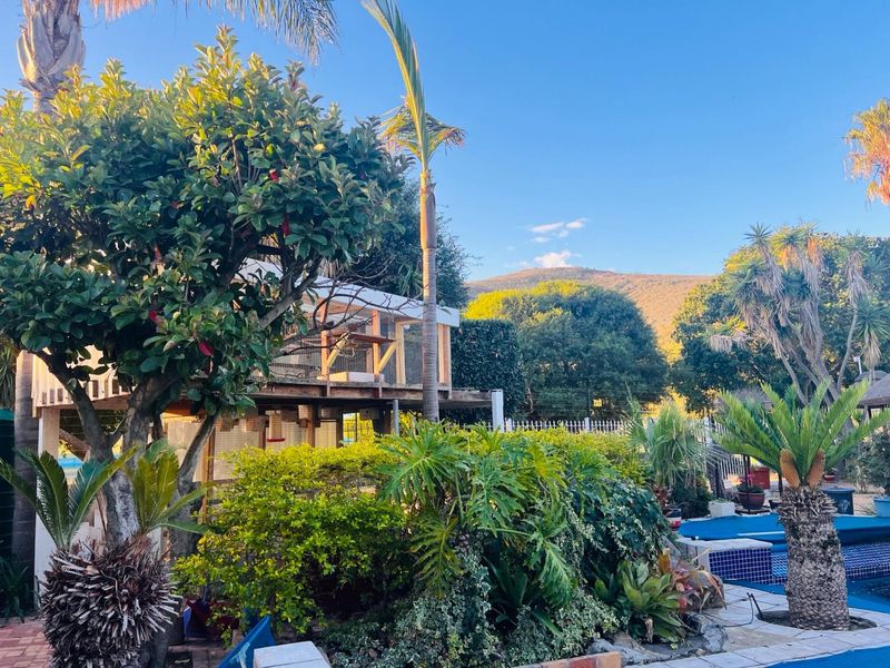 A lush outdoor pool area featuring a swimming pool with a cover, surrounded by mature landscaping and a raised wooden deck structure.