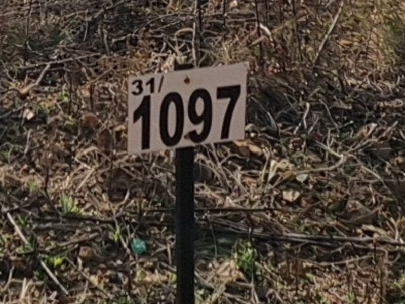A close-up view of a property identification marker on a vacant residential plot.