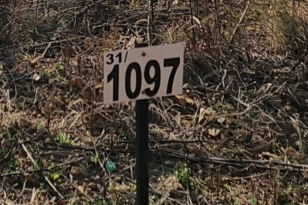 A close-up view of a property identification marker on a vacant residential plot.