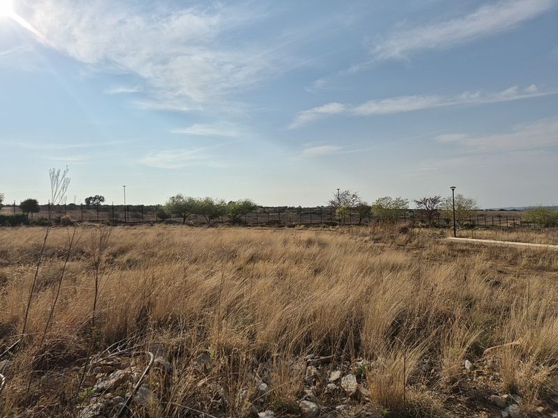 A view of a vacant residential plot featuring dry grass, perimeter fencing, and installed street lighting.