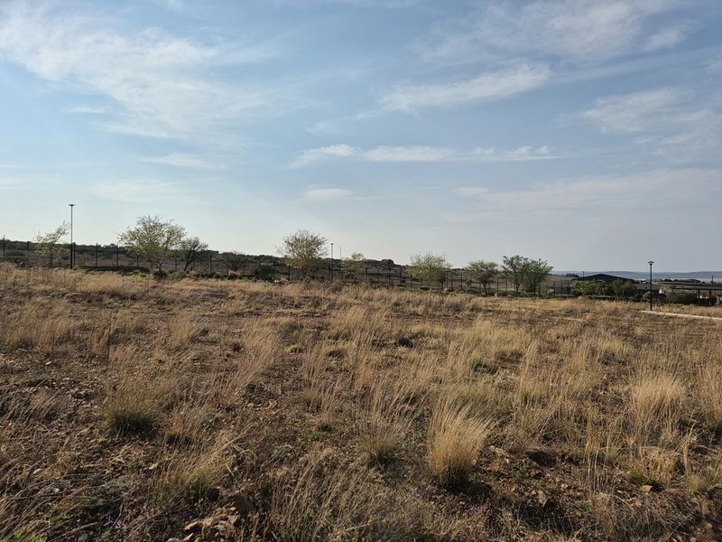 A vacant residential plot featuring natural dry grass, perimeter fencing, and established trees, offering a blank canvas for future development.
