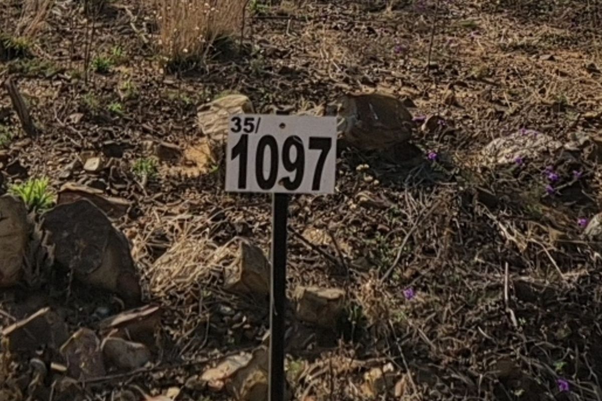 A close-up view of a property marker stake on a vacant residential plot.
