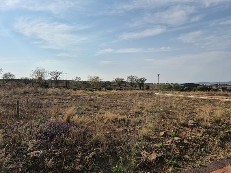A vacant residential plot of land featuring natural dry vegetation, perimeter fencing, and street lighting, offering a clear space for future development.