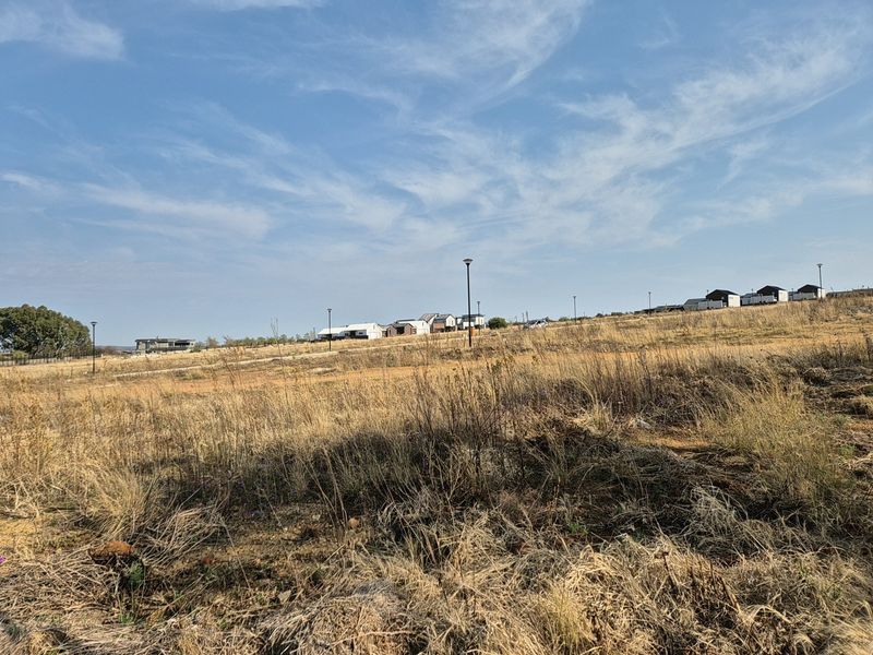 A view of a vacant residential plot featuring dry grass and installed street lighting, situated within a developing estate.