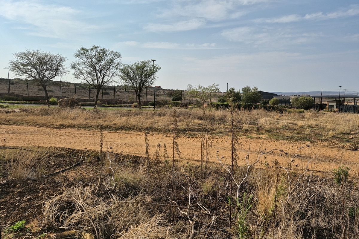 A view of a vacant residential plot featuring natural vegetation, perimeter fencing, and an unpaved access road.