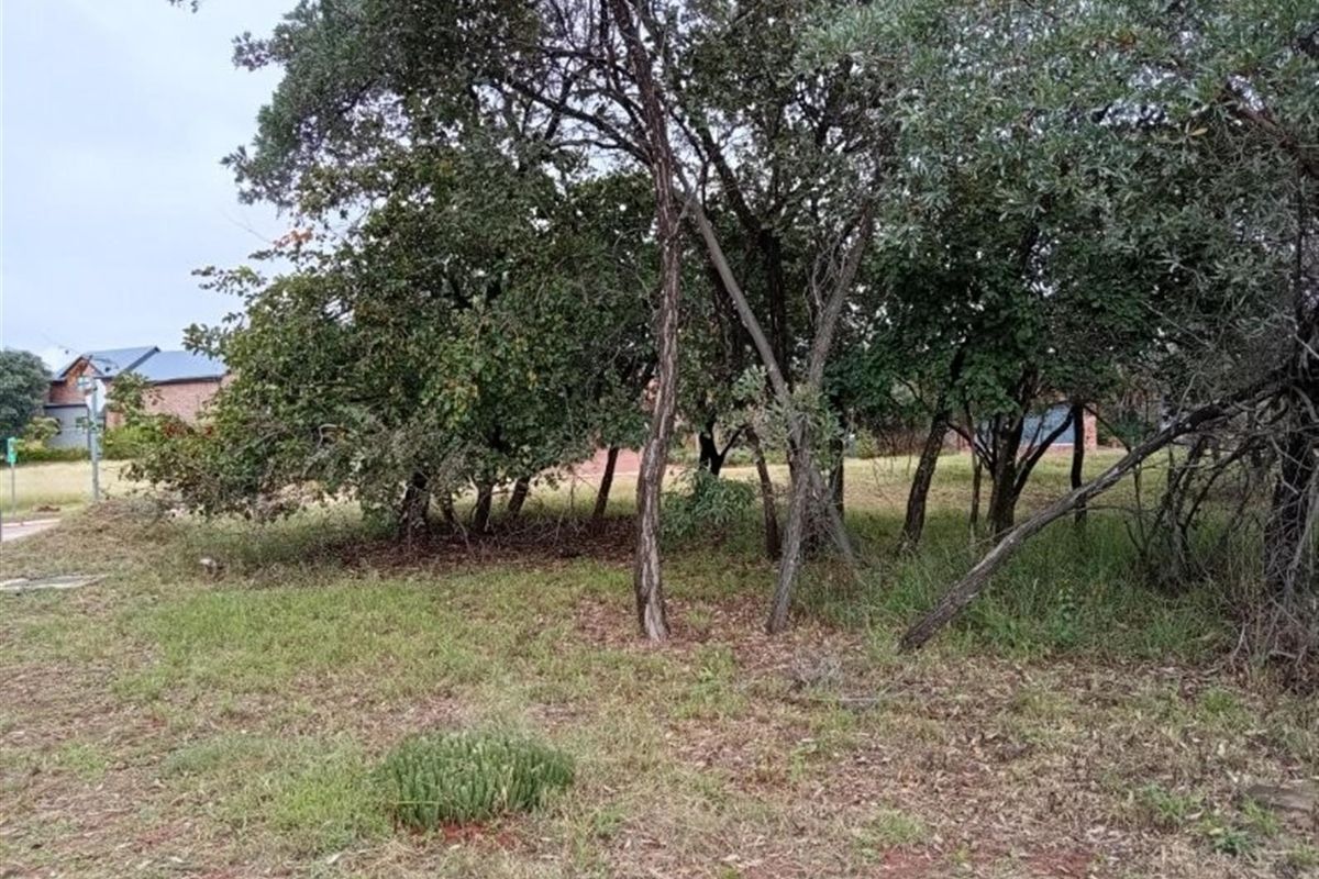 Vacant Land For Sale in Negester Klein-Kariba, Bela Bela - Photo 5