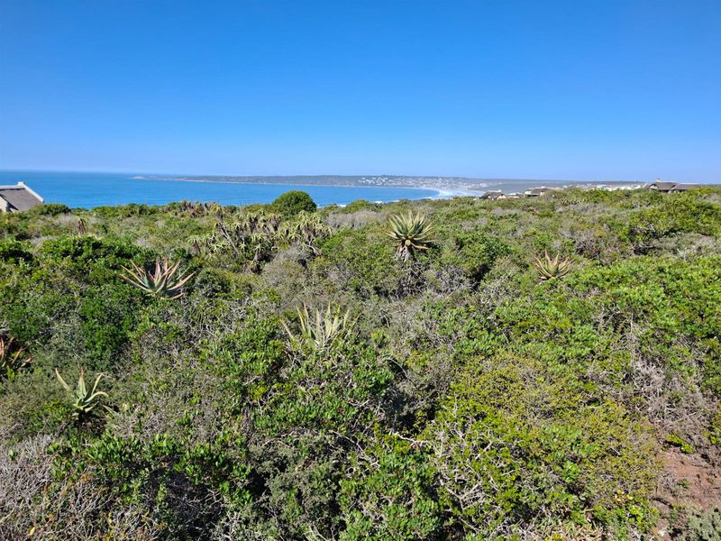 A scenic view of the coastline and ocean, showcasing the natural landscape and indigenous vegetation of the vacant residential property.