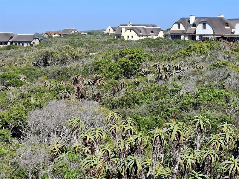 Your Gateway to Off-Grid Coastal Living in Springerbaai - Photo 9