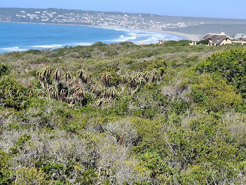 A scenic elevated view of the coastline, ocean, and surrounding natural landscape, showcasing the property's prime coastal location.