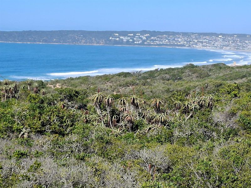 Your Gateway to Off-Grid Coastal Living in Springerbaai - Photo 6