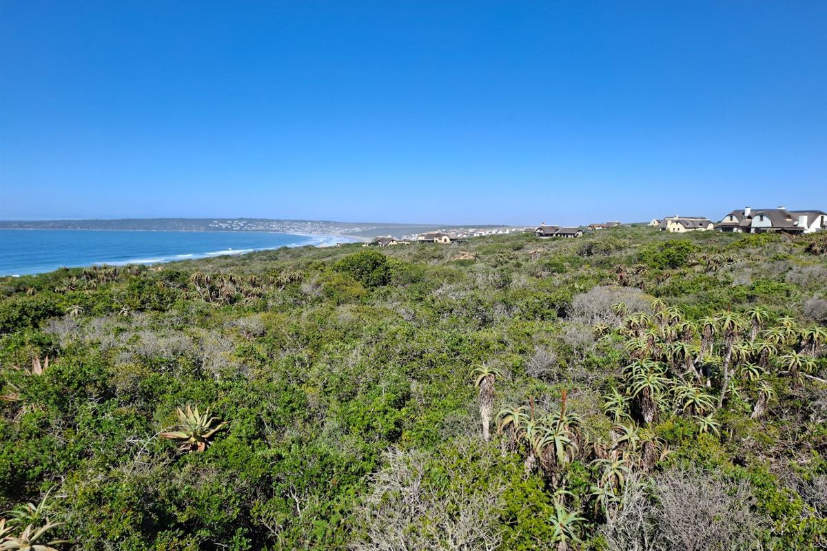 Your Gateway to Off-Grid Coastal Living in Springerbaai - Photo 4