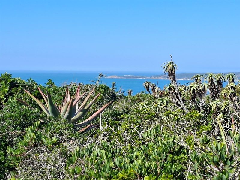 Your Gateway to Off-Grid Coastal Living in Springerbaai - Photo 2