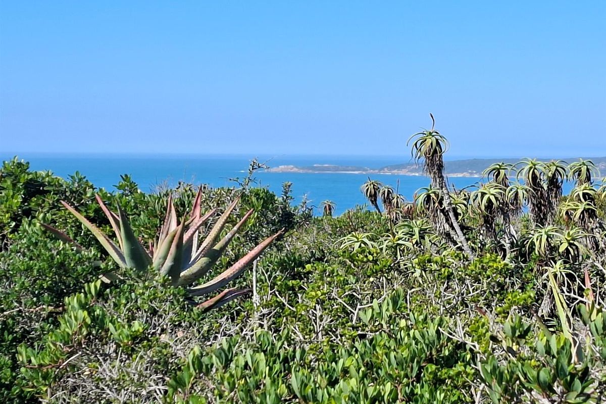 Your Gateway to Off-Grid Coastal Living in Springerbaai - Photo 2