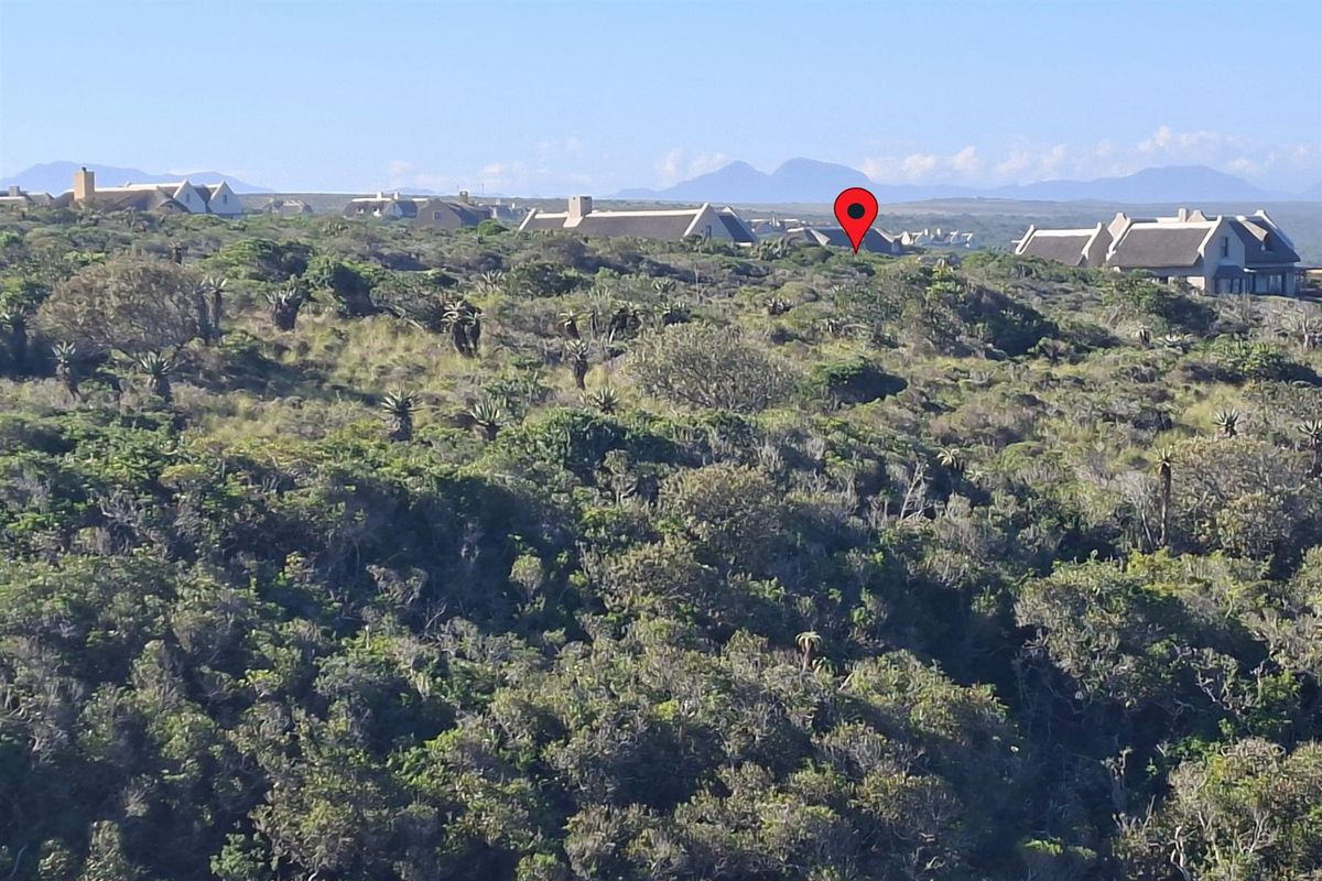 Your Gateway to Off-Grid Coastal Living in Springerbaai - Photo 5