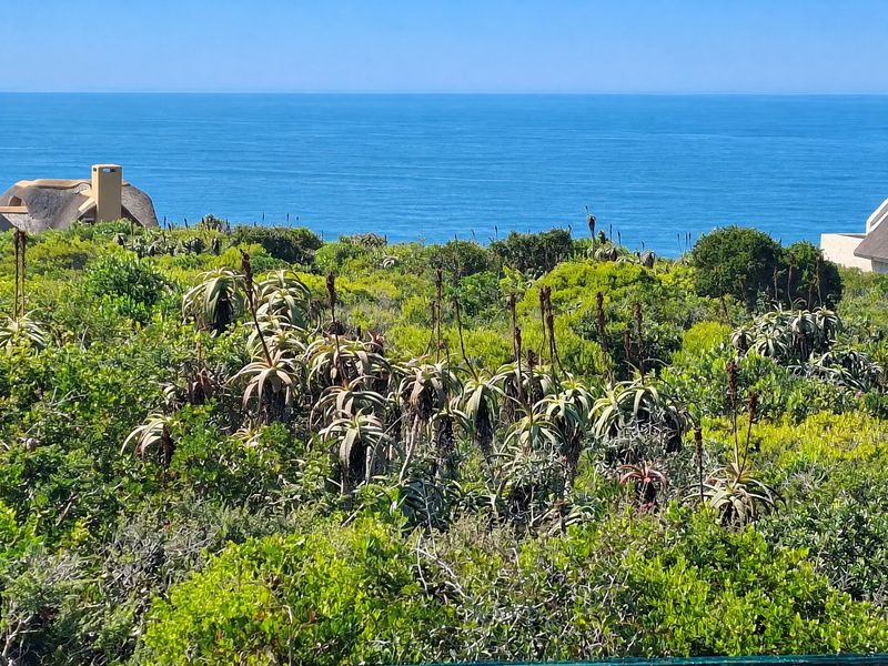 A scenic view of the ocean overlooking lush indigenous coastal vegetation and fynbos.