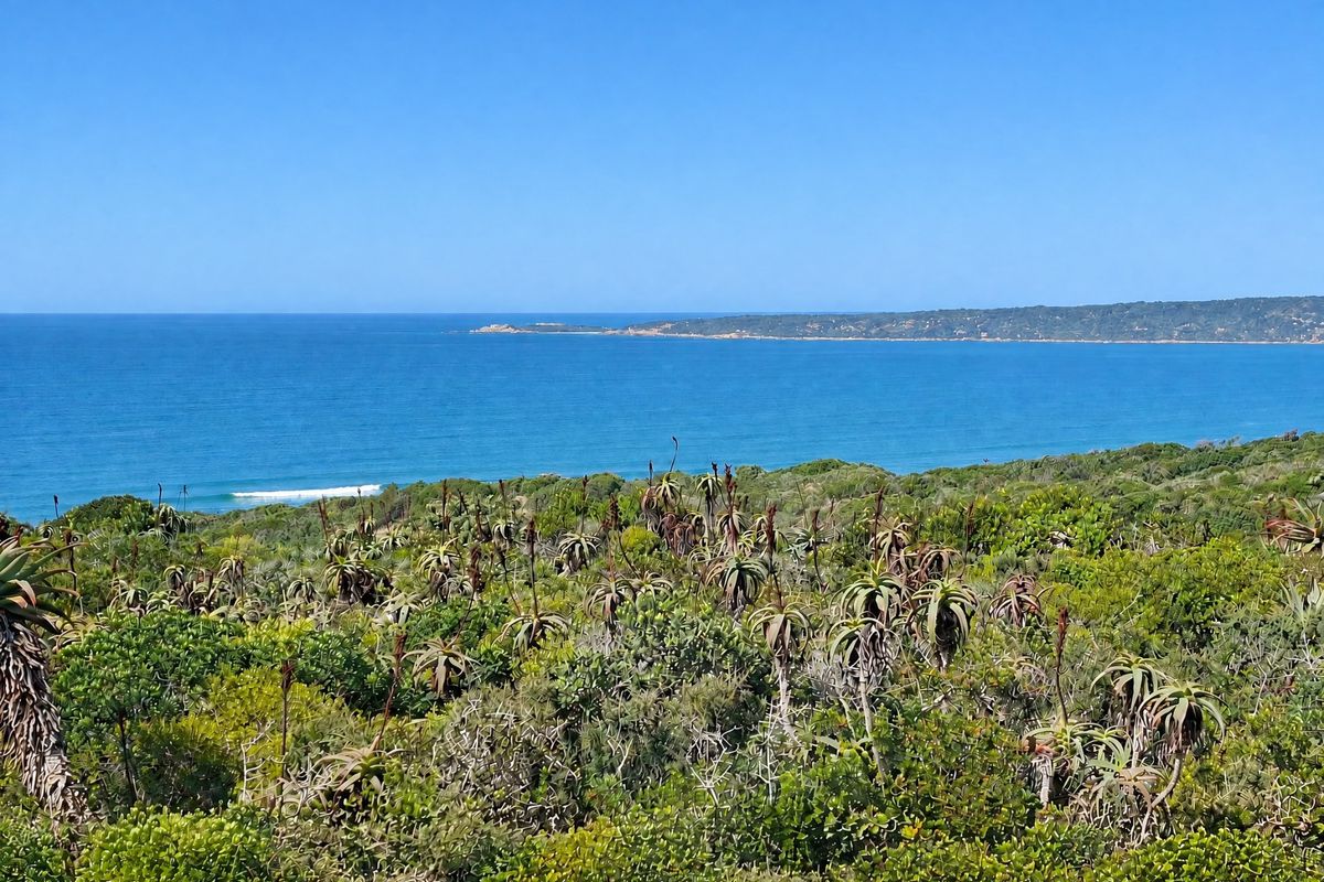 A scenic view of the coastline featuring native vegetation and an expansive ocean horizon.