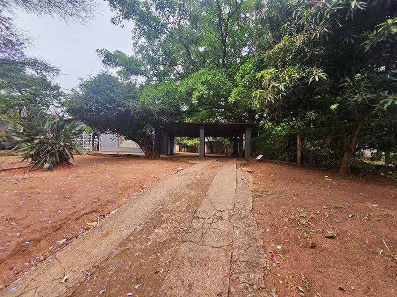 A view of the property's exterior featuring a large mature tree, a covered carport structure, and a weathered concrete driveway leading to the house.