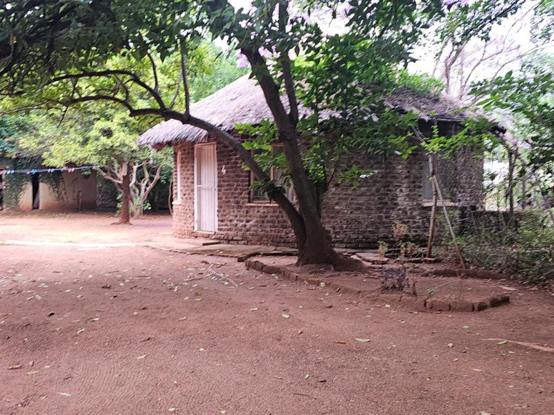 A rustic stone cottage with a traditional thatched roof, situated in a natural, wooded garden setting.