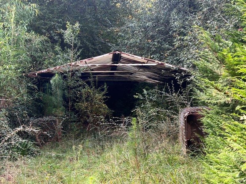 A Special Home In The Forest Amongst Tall Trees And Bird Song - Photo 8