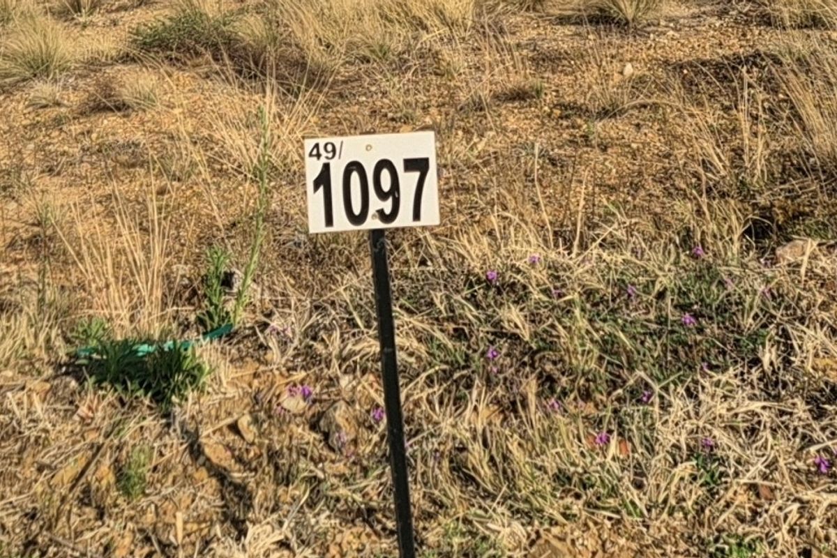 A close-up view of a property boundary marker stake on a vacant residential plot.