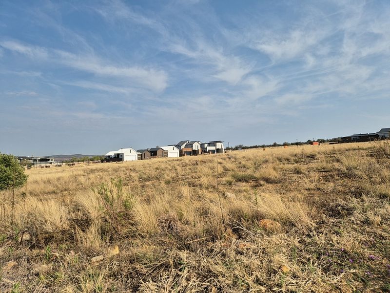 A view of a vacant residential plot featuring natural dry grass vegetation with established residential homes visible in the background.